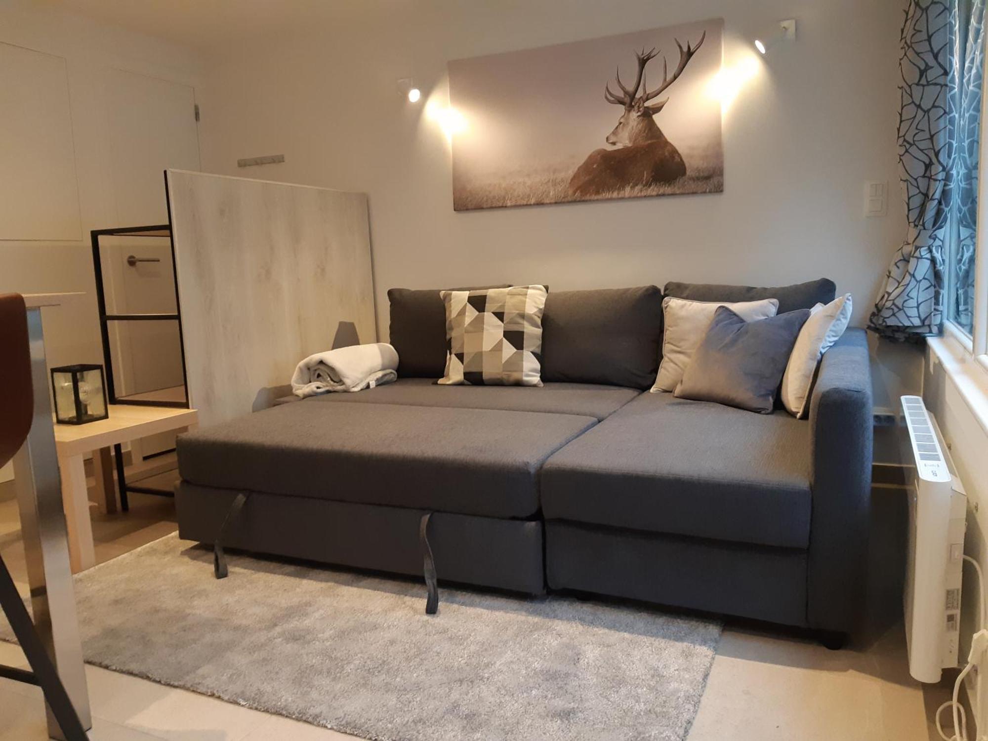 Terrasses De Malmedy F&L Triplex 214 Et Studio 320 Et 317 Et Studio Superieur 340 חדר תמונה