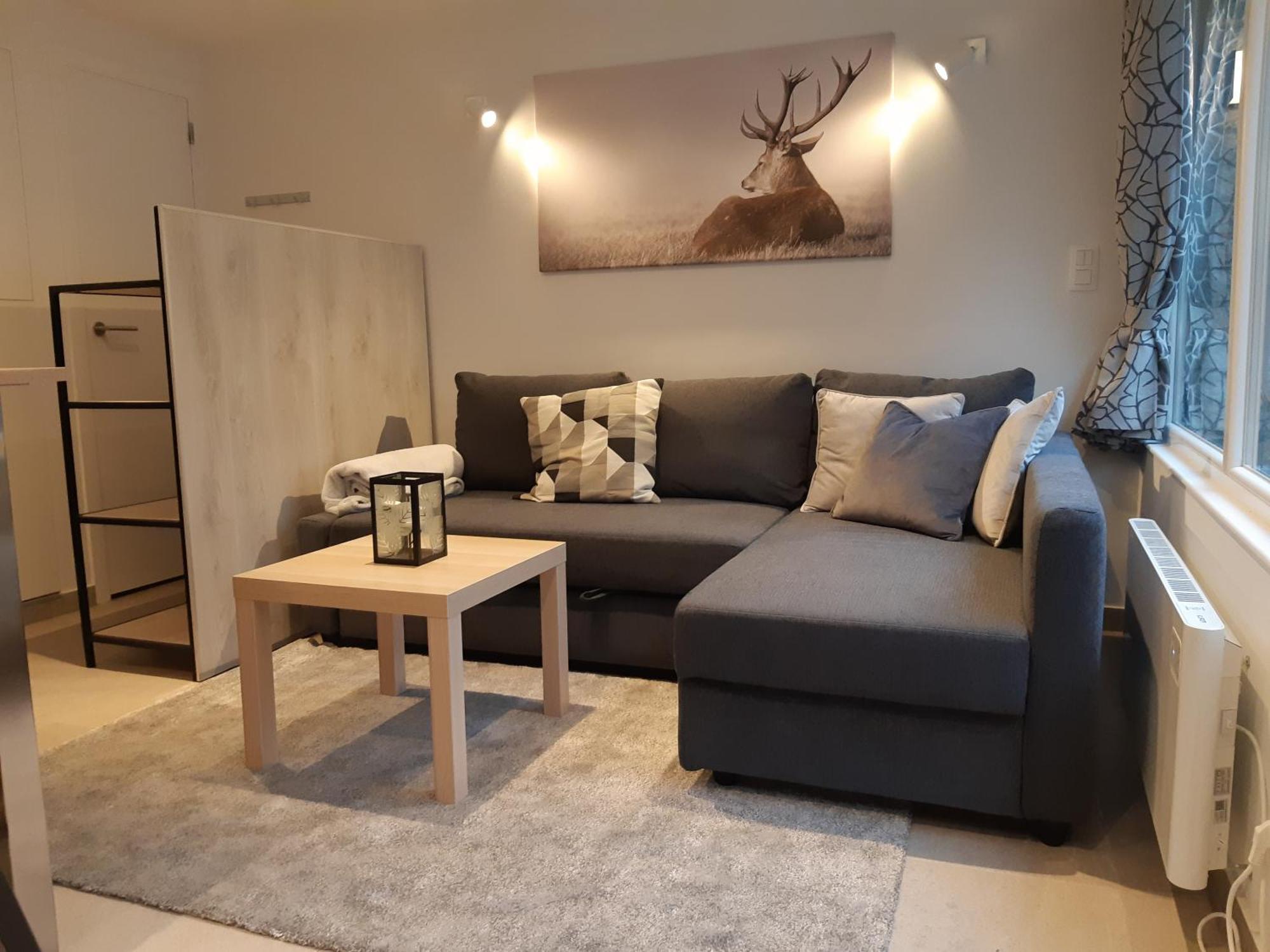 Terrasses De Malmedy F&L Triplex 214 Et Studio 320 Et 317 Et Studio Superieur 340 חדר תמונה